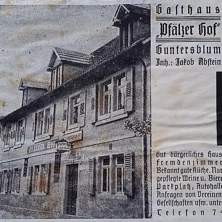 Weingold Guntersblum